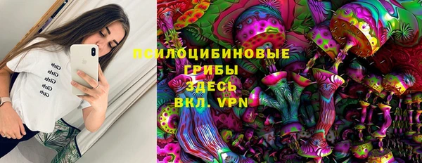 ГАЛЛЮЦИНОГЕННЫЕ ГРИБЫ Баксан