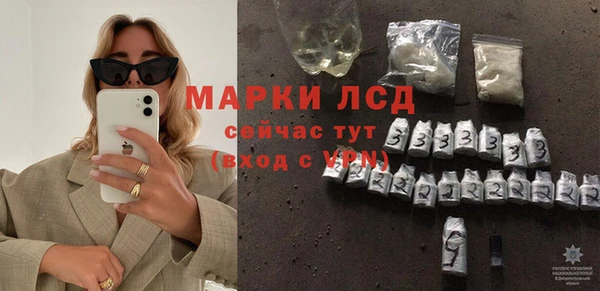 spice Снежногорск