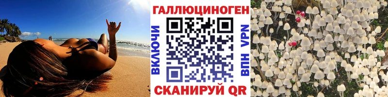 mega зеркало  Новоржев  Галлюциногенные грибы ЛСД 